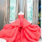 Giambattista Valli gown Credit: thecoveteur.com