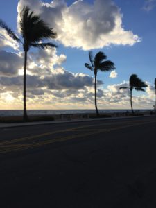 7.30am, Wednesday, November 23, on A1A 